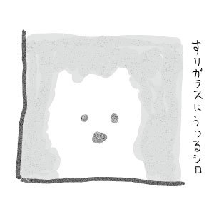 すりガラスにうつるシロ