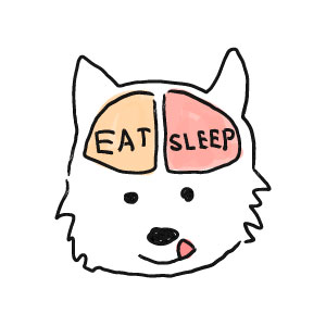 食べるか寝るか