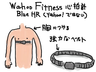 Wahoo Fitness 心拍計 Blue HR
