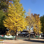 秋の紅葉ランニング