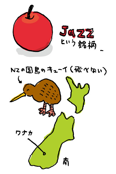 NZの小さなリンゴ