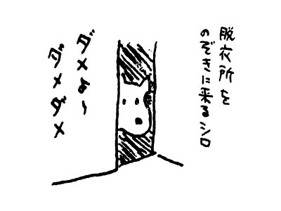 ダメよ〜ダメダメ