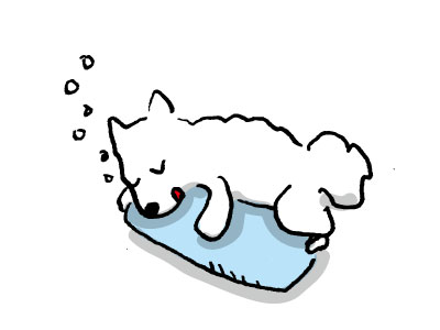 湯たんぽとアイスノン