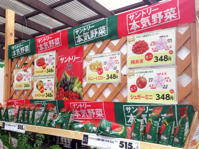 トマトの苗の売り場