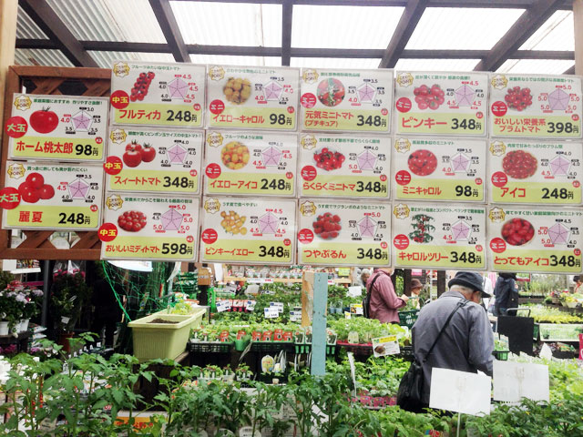 トマトの苗の売り場