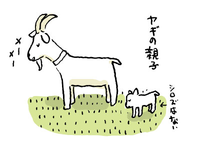 求むレンタルヤギ