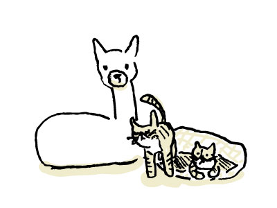 アルパカと猫