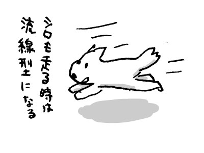 シロも走る時は流線型