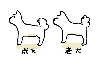 犬の後ろ足