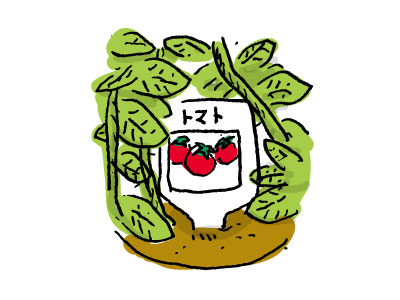 トマトの苗 2016