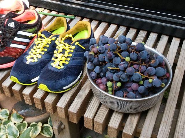 庭のブドウを収穫した