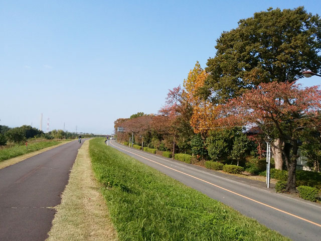 秋晴れランニング