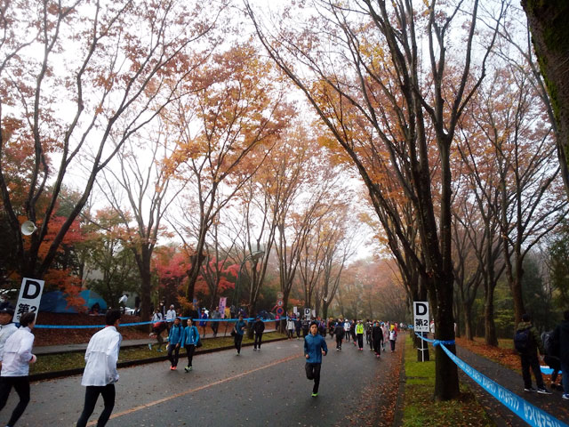 第36回 つくばマラソン