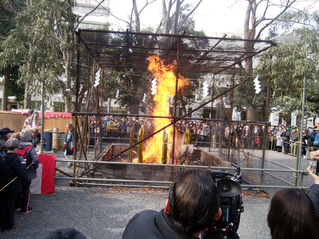 大国魂神社のどんど焼き