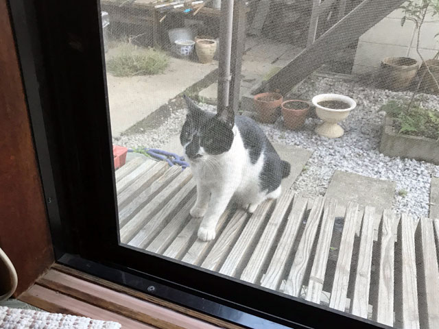 ヘルシオ ホットクック