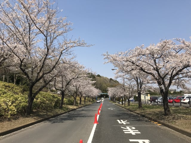 町田市立野津田公園