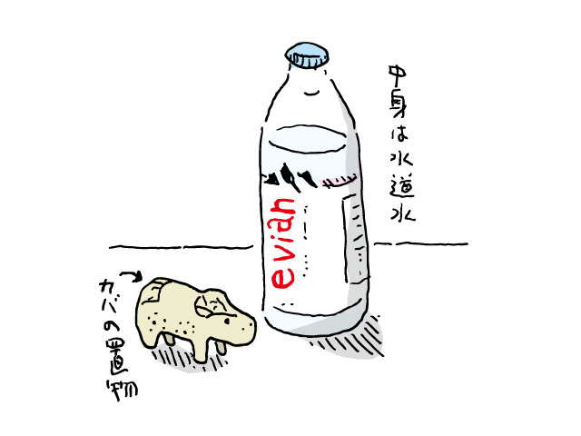 夏場の水分補給